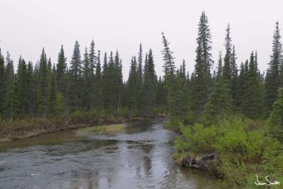 Alaska Landscape