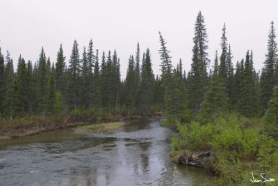 Alaska Landscape