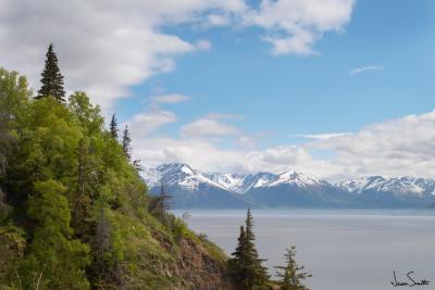 High Above the Turnagain Arm