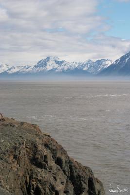 CRW_4878.jpg