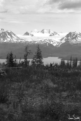 Above Homer