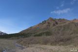 Denali Landscape