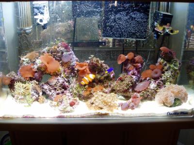 Tank 10-22-03