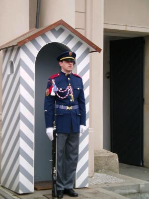 Palace_guard