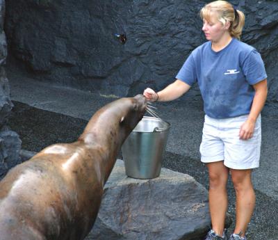 Aquarium7_RT16.jpg