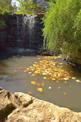 CRW_8755-1.jpg