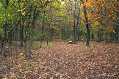 CRW_8414.jpg