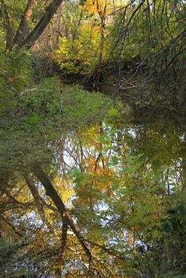 CRW_8459.jpg