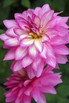 IMG_91132sm.jpg