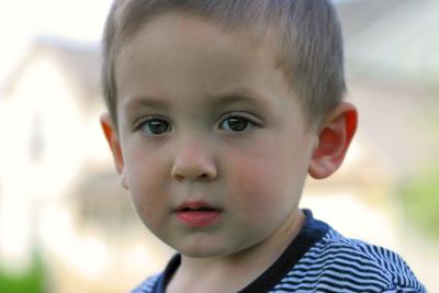 IMG_9933shprz.jpg