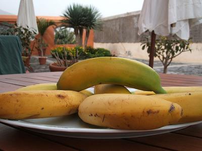 ripe bananas that grew ten meters away