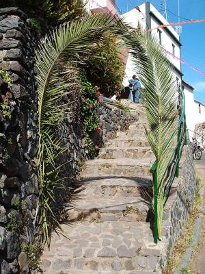 stairs, upper Hermigua, decorated for Palm Sunday