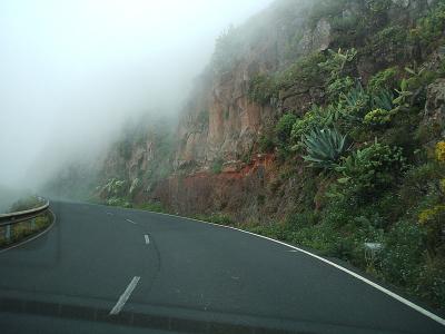 mist on the road