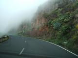 mist on the road