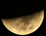 Pict5480halfmoon.jpg