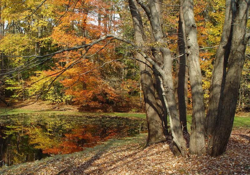Old Westbury Gardens