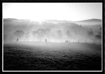 Photographers in the Morning Mist