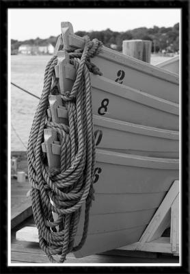 EE5E7702-bw-800x535 web.jpg