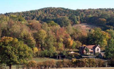 Autumn Colour.