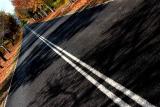 Avenue of colour 2