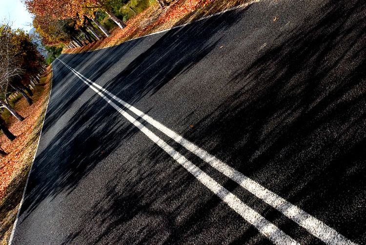 Avenue of colour 2