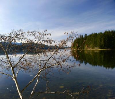 Rupert Inlet
