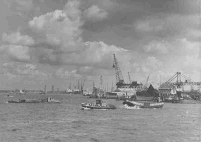VII 354-49-4.JPG