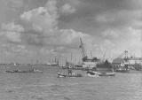 VII 354-49-4.JPG