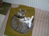 DSCF4033.JPG