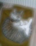 DSCF4033a.jpg