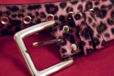 March 27 - belt