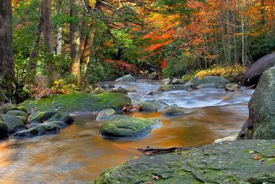 Jones Gap State Park in Autumn