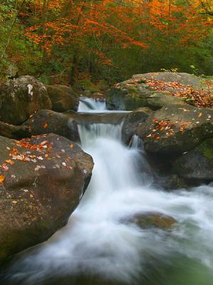 Cascade at Jones Gap in Autumn