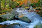 Stream at Jones Gap State Park in Autumn