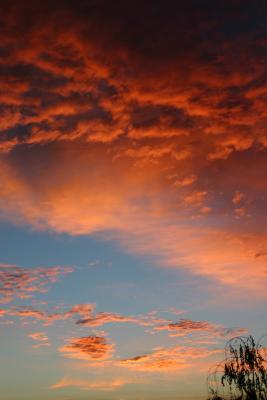 Calaveras Sunrise