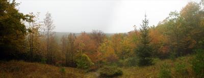 color in the mist. panorama