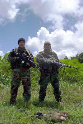 u34/kalashnikov/medium/22448887.MinimiandthePig.jpg