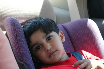 u34/kartiq/medium/31162213.DSC_1416.jpg