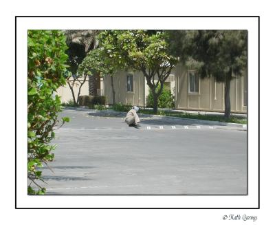 AL Khobar — Saudi Arabia & Fujairah — UAE