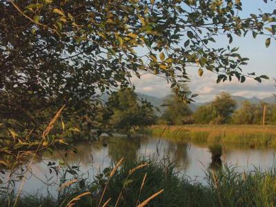 040707 Tillamook River