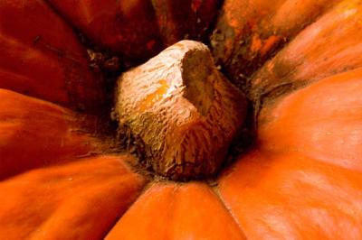 0401008 Pumpkin