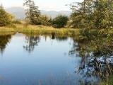 040707 Tillamook River