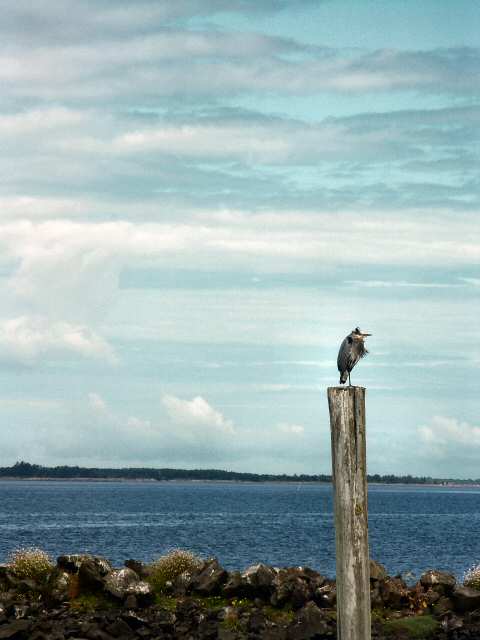040710 Birds Eye View