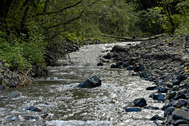 040829 Small Stream