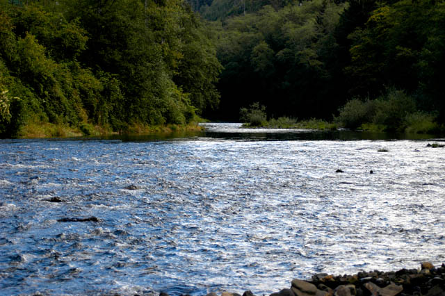 040829 Trask River