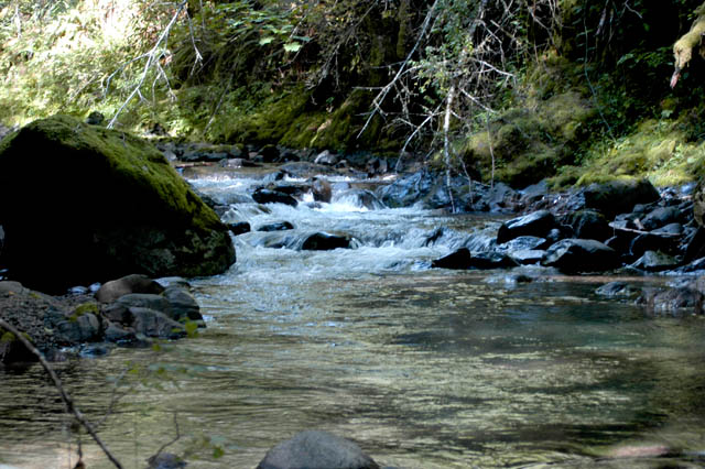 040829 Wilson River