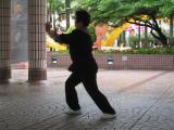 tai chi 5.jpg