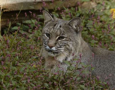 DSC_3197.jpg