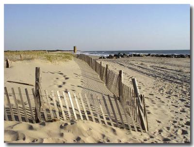 Beach Fence