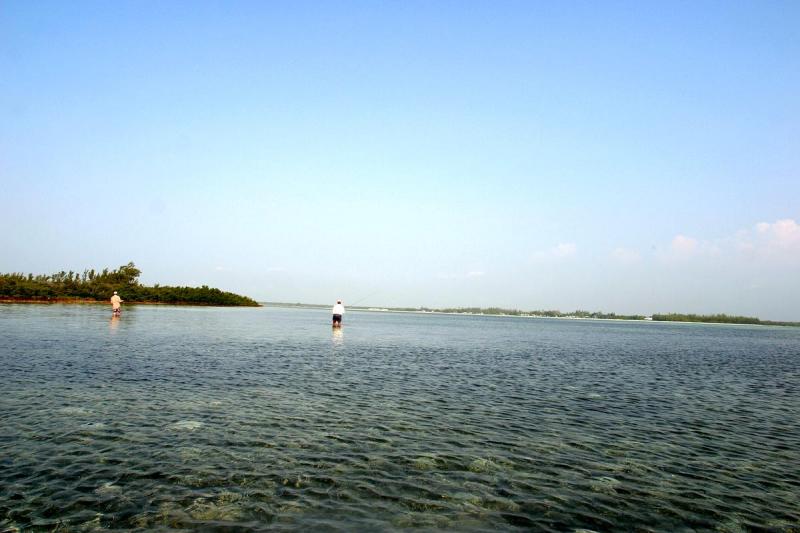 March, 2003